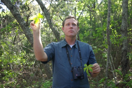 David Hurt shows poison ivy and Virginia creeper, Dogwood Canyon, Texas