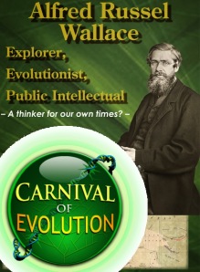 Carnival of Evolution #67 at Genealogical World of Phylogenetic Networks - Alfred Russel Wallace  Centenary Edition