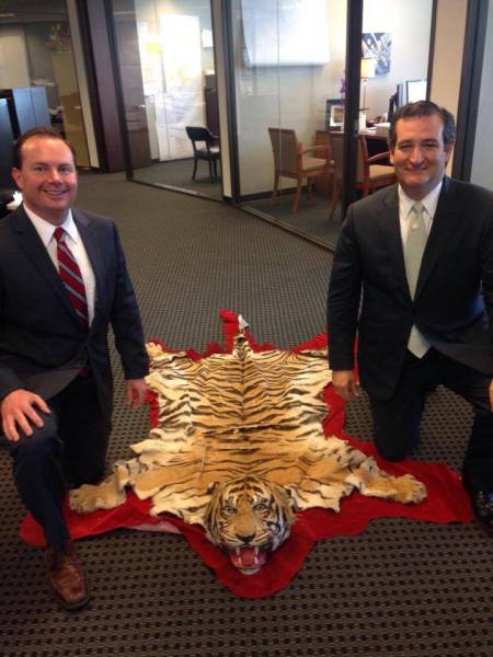 U.S. Sen. Ted Cruz said: "Did a little shopping for the office with United States Senator Mike Lee in Houston today."
