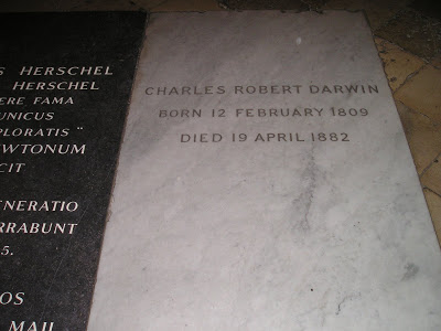 The grave of Charles Darwin, in the Nave of the Collegiate Chapel at Westminster Abbey. Darwin is interred near Sir Isaac Newton. Bishop James Ussher is interred in the St. Paul's Chapel, a few dozen yards away. Photo from Laurence Moran's The Sandwalk Blog