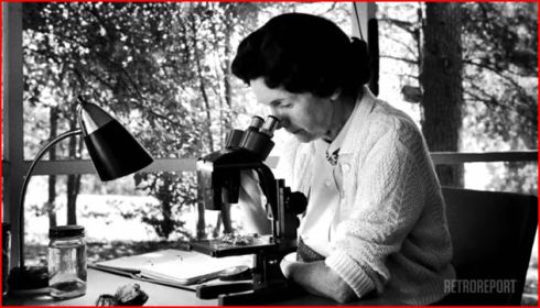 Rachel Carson at a microscope, American Experience/RetroReport image. Did Carson's work cause an increase in malaria? Is she to blame for continued malaria deaths? No, answers a short film bonus to "Rachel Carson," the 2017 PBS film.